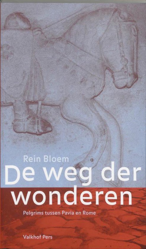 Cover van het boek 'De weg der wonderen / druk 1' van Rein Bloem