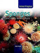 Sponges And Other Phyla