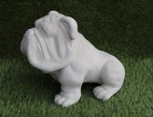 Tuinbeeld bulldog (Wit) - decoratie voor binnen/buiten - beton