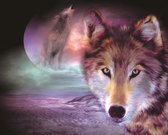 Dielay - Diamond Painting Pakket - Wolf en Maan - 50x40 cm - Complete Set - Volledige Bedekking