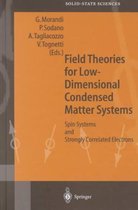 Field Theories for Low-Dimensional Condensed Matter Systems