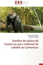 Omn.Univ.Europ.- Gorilles de Plaine de l'Ouest Au Parc National de Lob�k� Au Cameroun