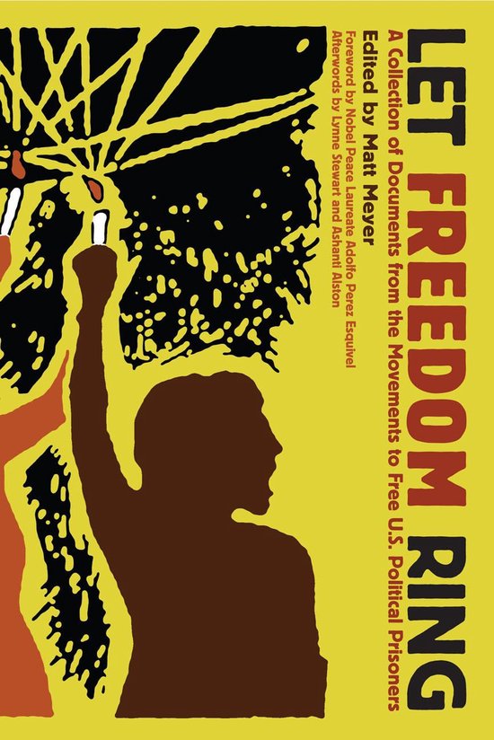 Let Freedom Ring (ebook), Matt Meyer 9781604861495 Boeken