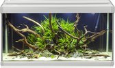 Akvastabil Family Aquarium - 70 x 32,5 x 37 cm - 80 L - Wit