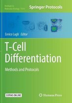 T-Cell Differentiation