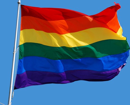 bol.com | Regenboog vlag (Pride vlag - LGBT vlag - Gay vlag) - 90x150cm