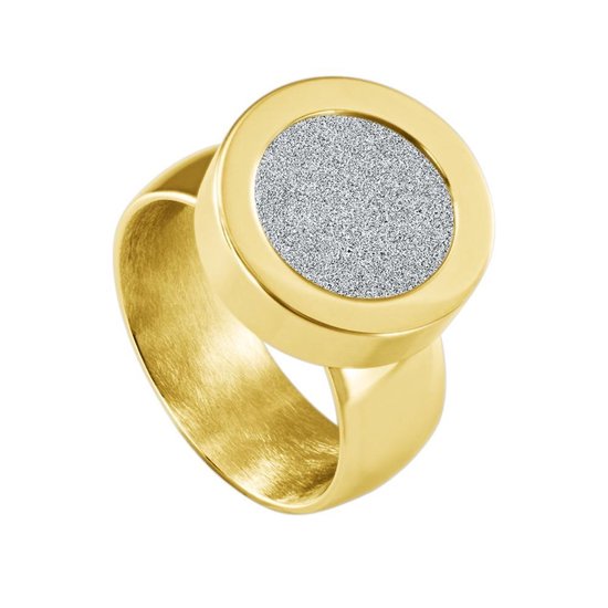 Quiges RVS Schroefsysteem Ring Goudkleurig Glans 17mm met Verwisselbare Glitter Zilver 12mm Mini Munt
