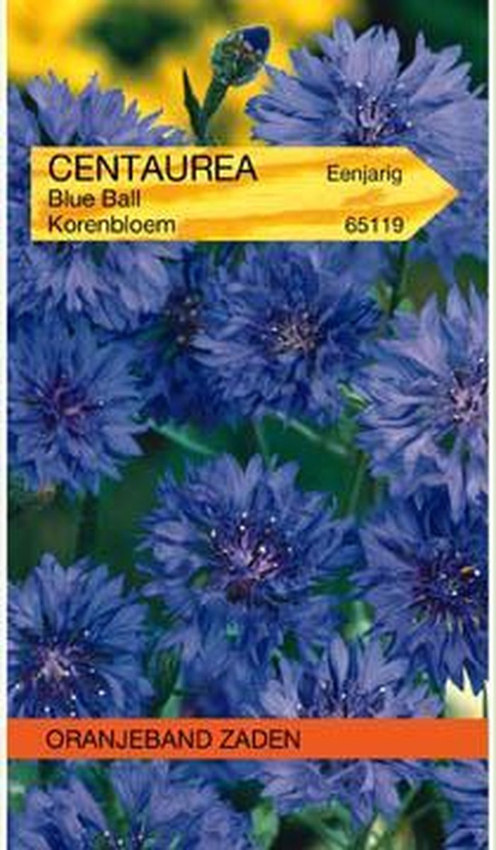 Centaurea, Korenbloem Blue Ball