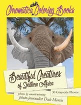 Beautiful Creatures of Southern Africa