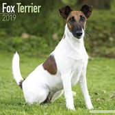 Fox Terrier Kalender 2019