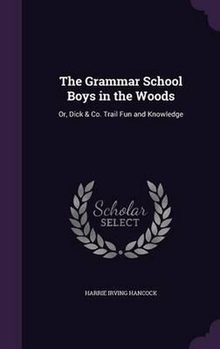The Grammar School Boys In The Woods van Harrie Irving Hancock