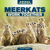 Animal Teamwork - Meerkats Work Together