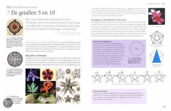 Geheime geometrie van het leven