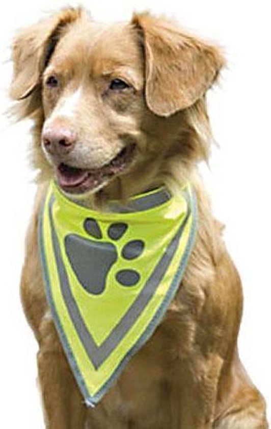 Pet Products Reflecterend Veiligheidshalsdoekje L