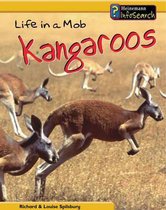Life in a Mob of Kangaroos