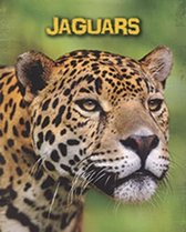 Jaguars