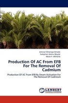 Production of AC from Efb for the Removal of Cadmium