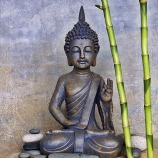 Basistheorie Grondig Lee Tuindoek Boeddha - 70x70 cm - tuinposter - tuin decoratie - tuinposters  buiten -... | bol.com