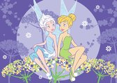 Tapijt Fairies - Tink & Periwinkle