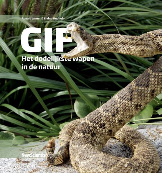 Gif