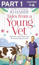Tales from a Young Vet: Part 1 of 3: Mad cows, crazy kittens, and all creatures big and small