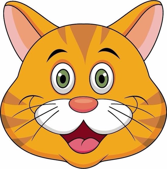 Kartonnen oranje katten/poezen masker voor kinderen | bol.com