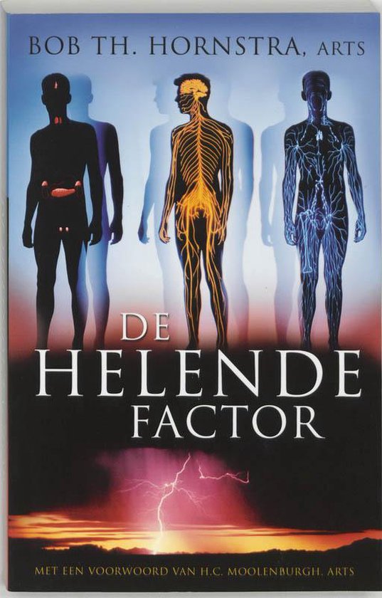 9789020243796 - De helende factor - B.Th. Hornstra