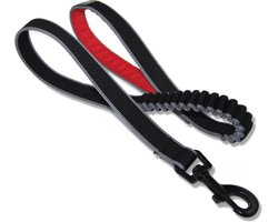Kurgo - Springback Leash - 122 cm - 137 cm - Lichtgewicht Buisweefsel