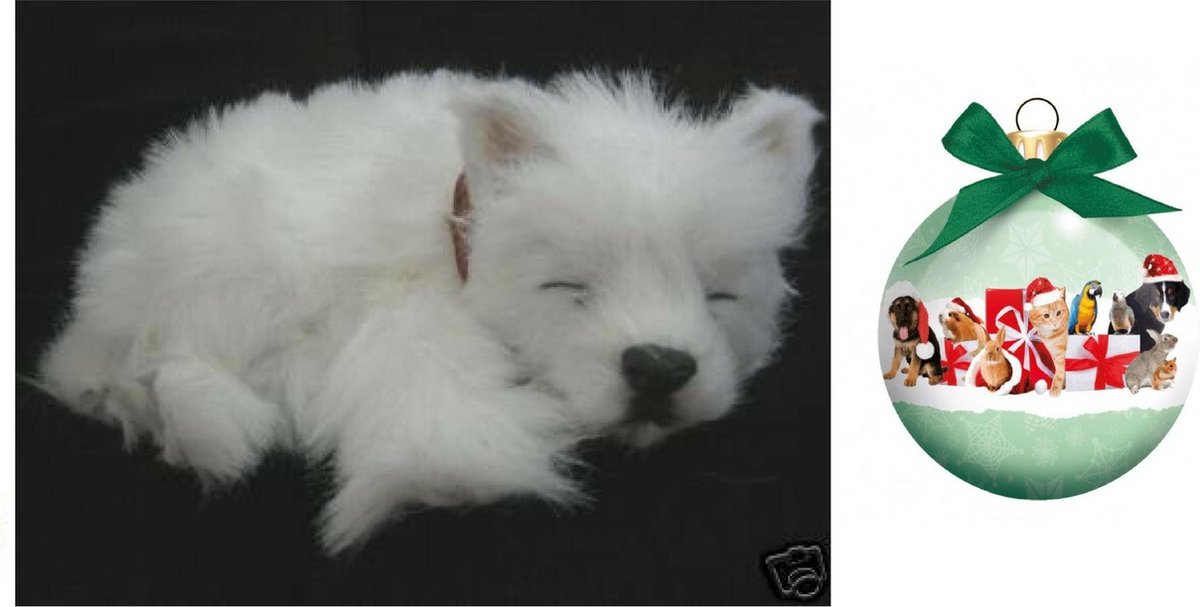 perfect petzzz westie