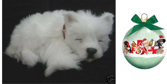 Perfect top petzzz westie
