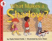 What Makes A Shadow
