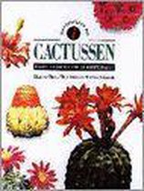 Identificeren van cactussen