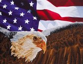 Diamond Dotz® Eagle and Flag - Diamond Painting (80x64 cm)