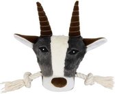 stier met speeltouw