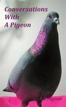 Conversations with A Pigeon