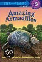 Amazing Armadillos