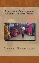 A migrant's cultural shocks in the West