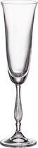 Crystal Bohemia Champagneglazen Fregata - Kristal - 190ml - 6 stuks
