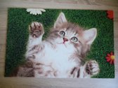 Deurmat 40x60 Kitten Rug