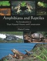 Amphibians & Reptiles