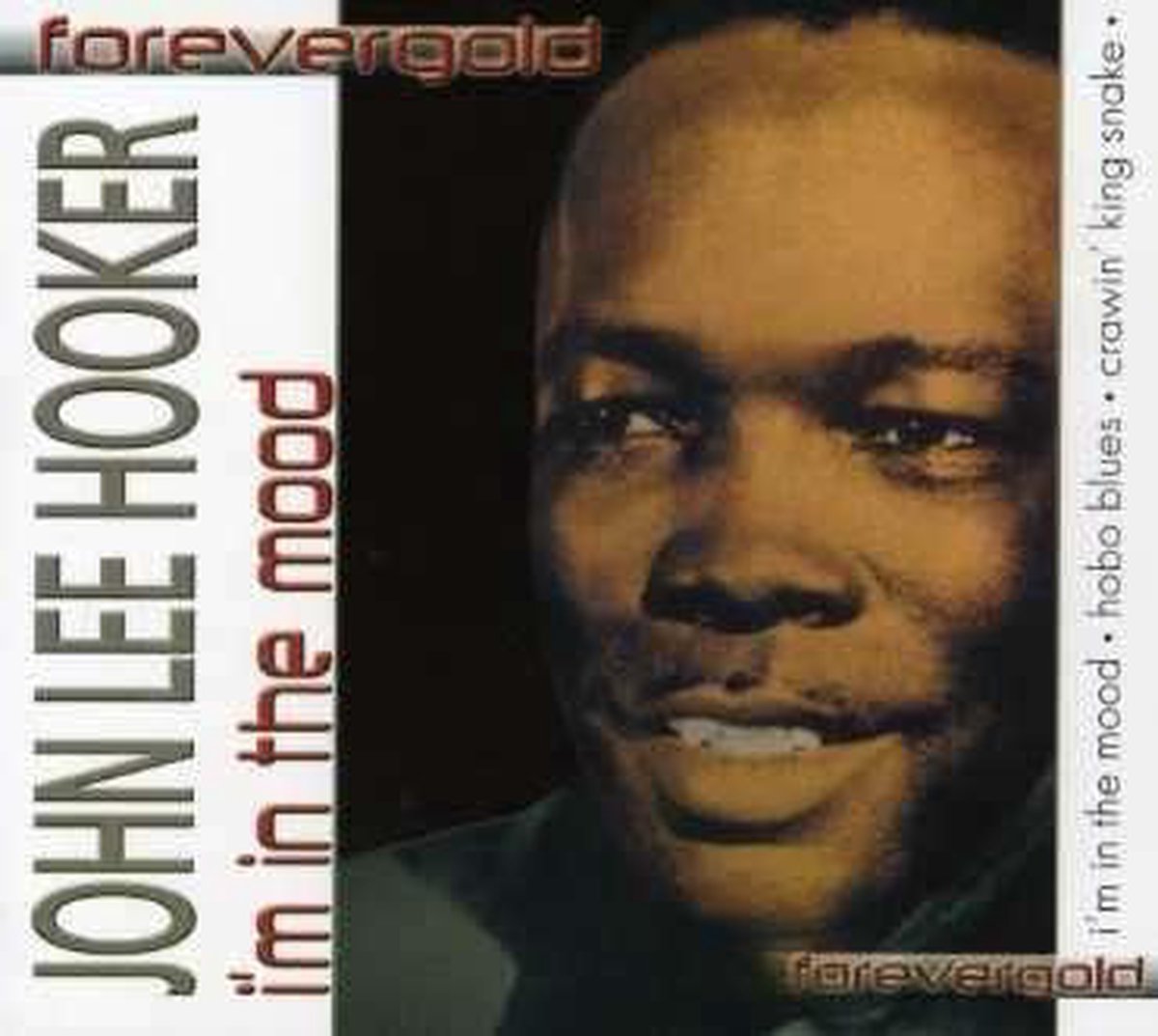 Proper Introduction to John Lee Hooker: I'm in the Mood