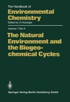 The Natural Environment and the Biogeochemical Cycles