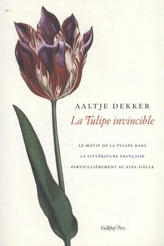 Boekomslag met een paars-witte tulp en de titel 'La Tulipe invicible' van Aaltje Dekker.