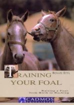 Training Your Foal