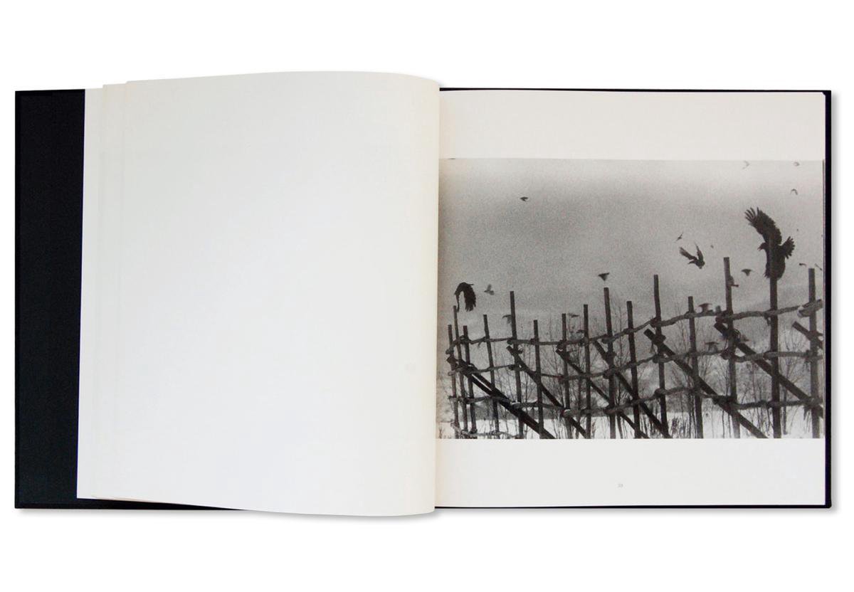 Ravens, Masahisa Fukase | 9781910164839 | Livres | bol
