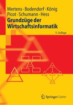 Springer-Lehrbuch - Grundzüge der Wirtschaftsinformatik