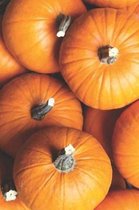 Pumpkin Patch Portable Notebook