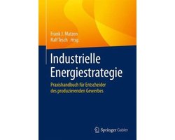 Industrielle Energiestrategie