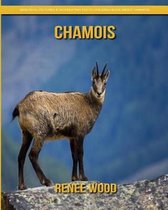 Chamois