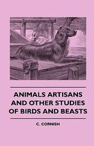 Animals Artisans - And Other Studies Of Birds And Beasts
